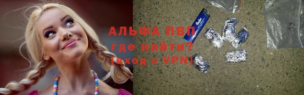 дживик Инта
