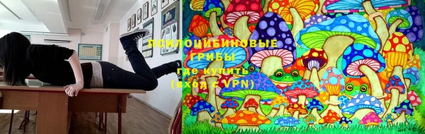 2c-b Иннополис