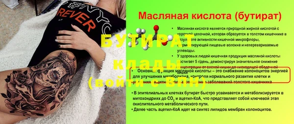 дживик Инта