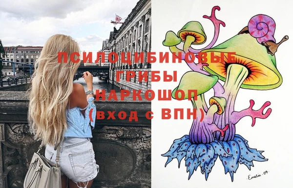 дживик Инта