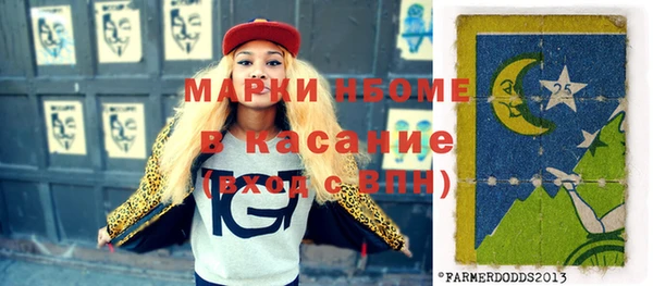 прущий лед Инсар