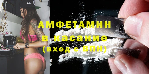 дживик Инта