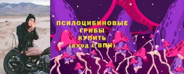 дживик Инта