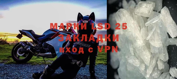 дживик Инта