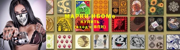 прущий лед Инсар